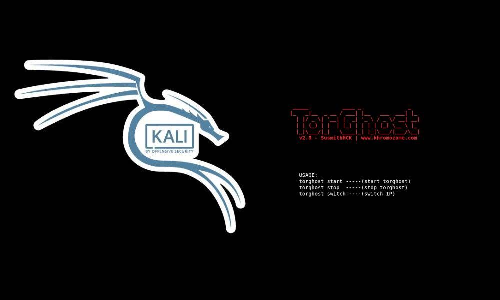 kali linux vpn tor